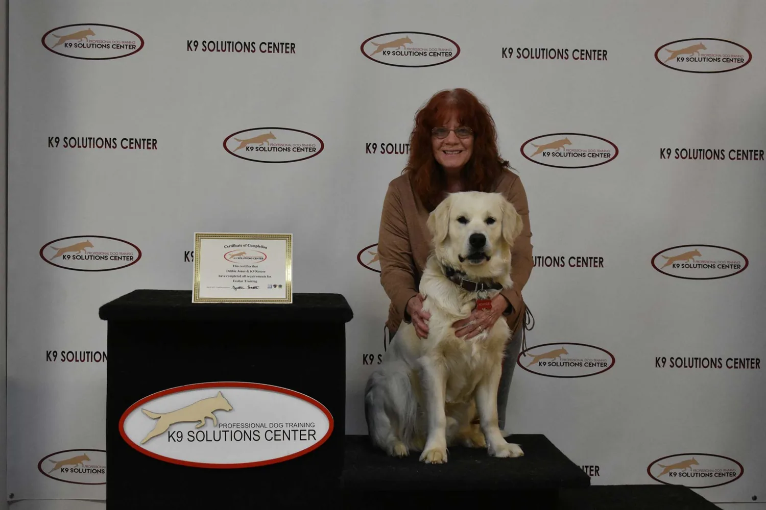 A dog working through obedience drills indoors